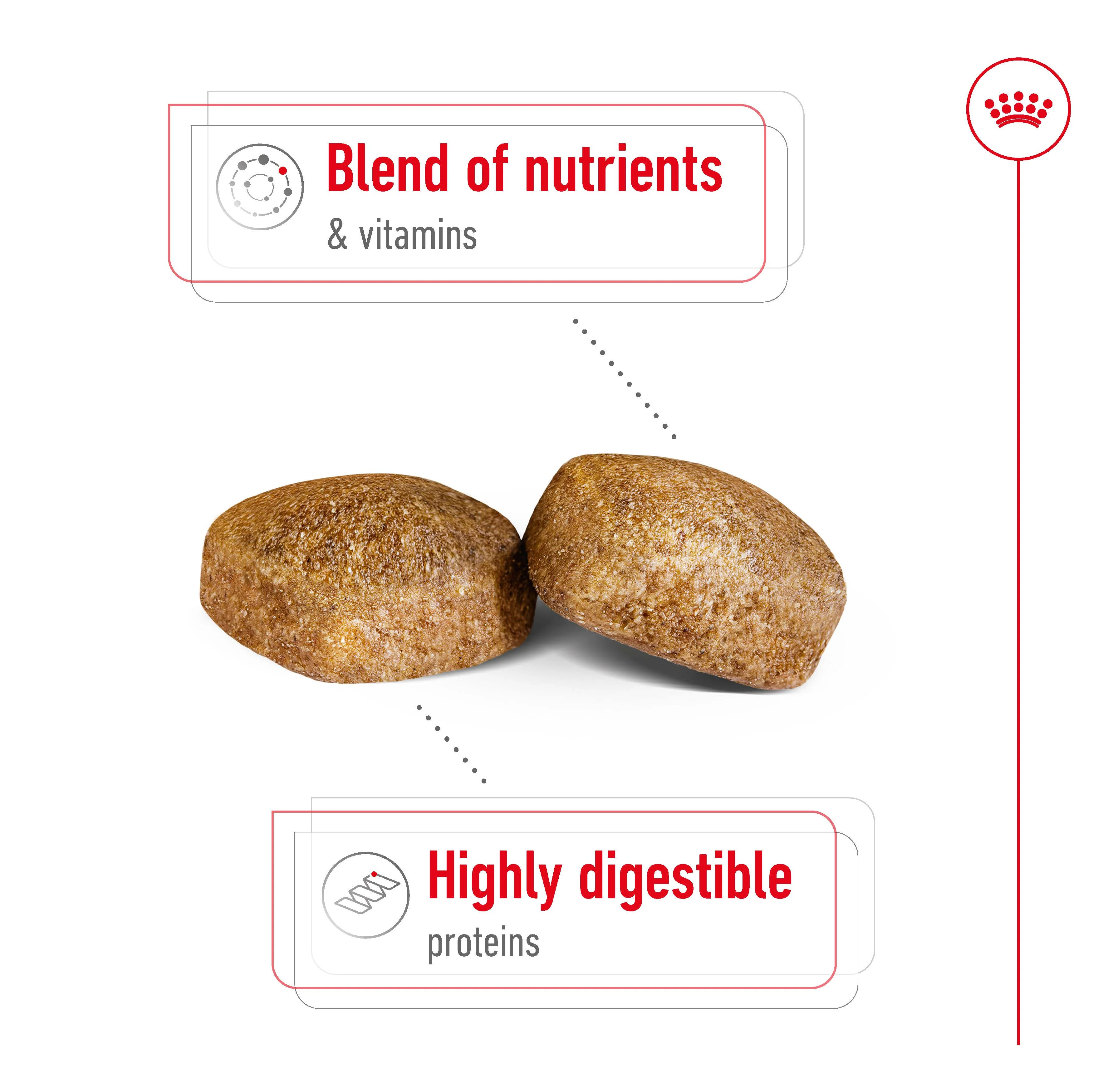 Royal Canin - Giant Adult Dog Dry Food (15kg) - Image 3