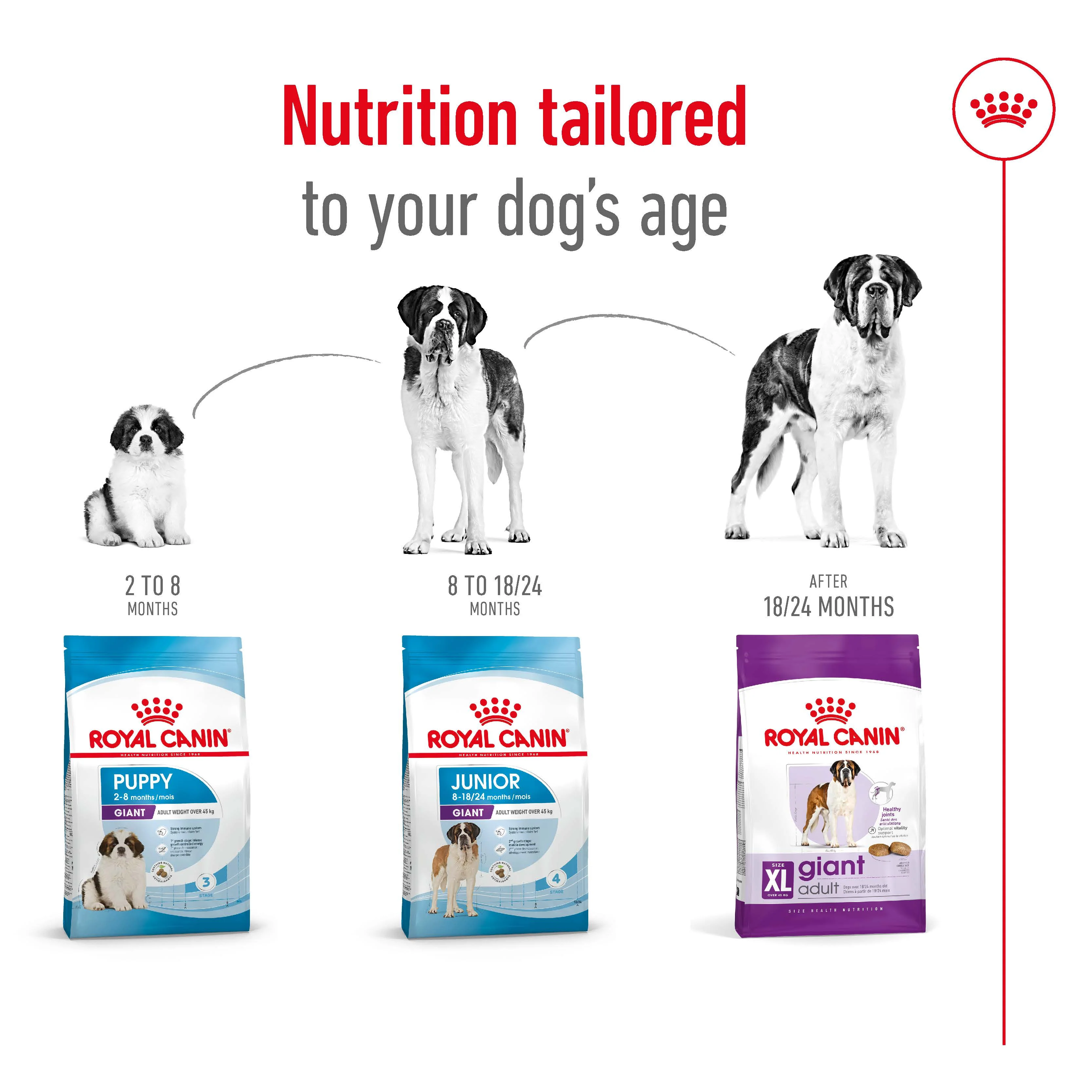 Royal Canin - Giant Adult Dog Dry Food (15kg) - Image 7