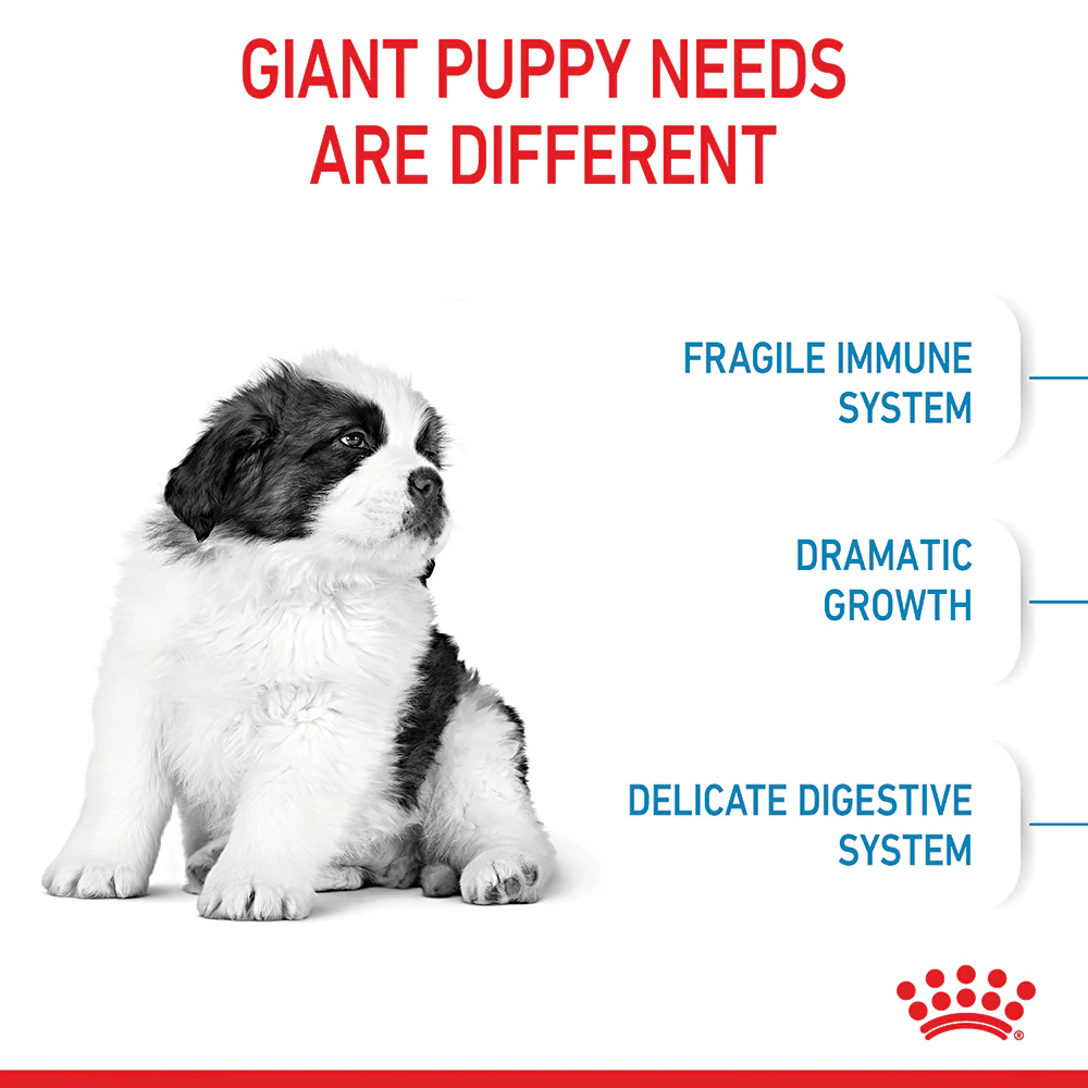 Royal Canin - Giant Puppy Dog Dry Food (15kg) - Image 4