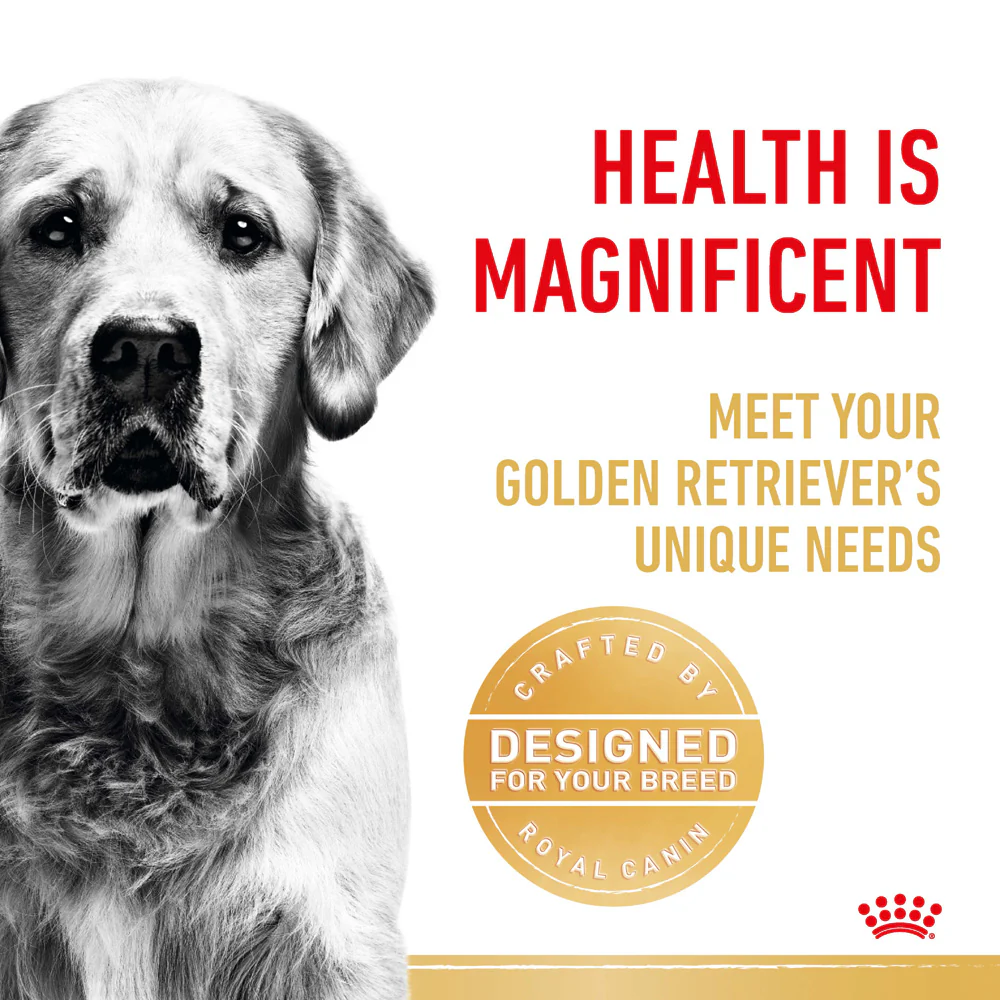Royal Canin - Golden Retriever Breed Adult Dog Dry Food (12kg) - Image 4