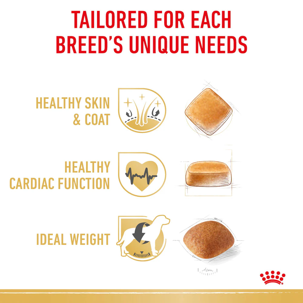 Royal Canin - Golden Retriever Breed Adult Dog Dry Food (12kg) - Image 5