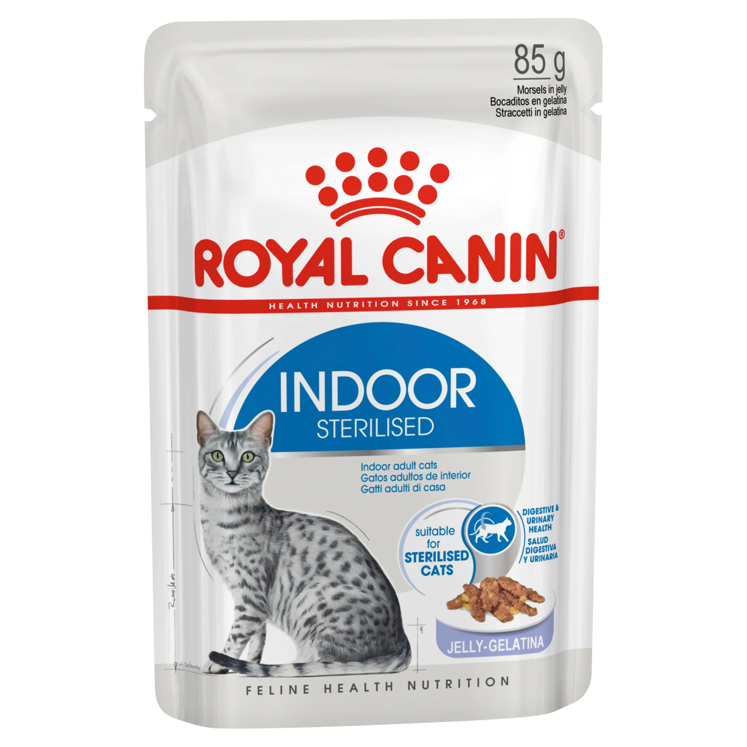 Royal Canin - Indoor Jelly Adult Cat Wet Food (85g x 12pk) - Image 2