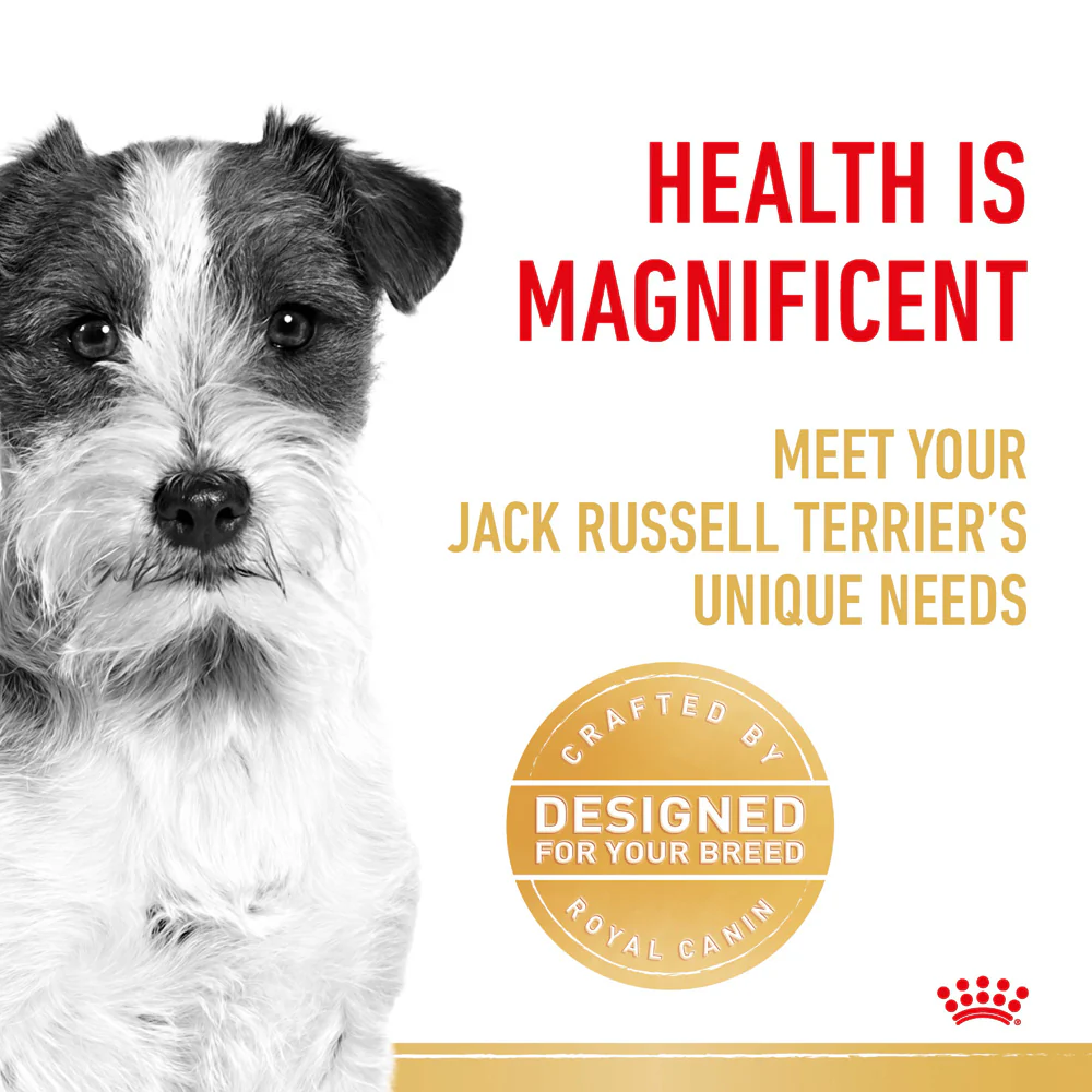 Royal Canin - Jack Russell Terrier Breed Adult Dog Dry Food (3kg) - Image 4