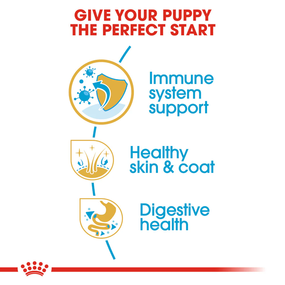 Royal Canin - Golden Retriever Breed Puppy Dog Dry Food (12kg) - Image 4
