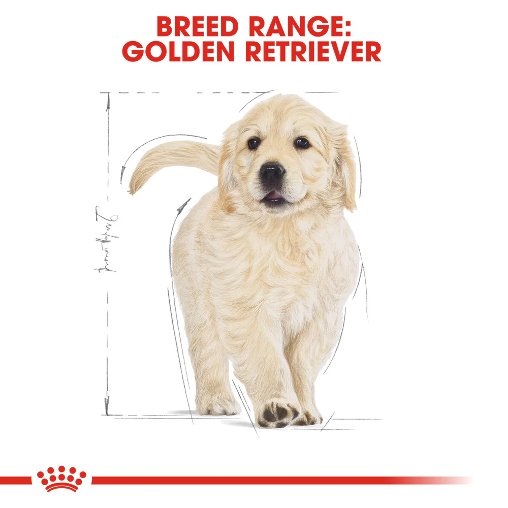 Royal Canin - Golden Retriever Breed Puppy Dog Dry Food (12kg) - Image 6