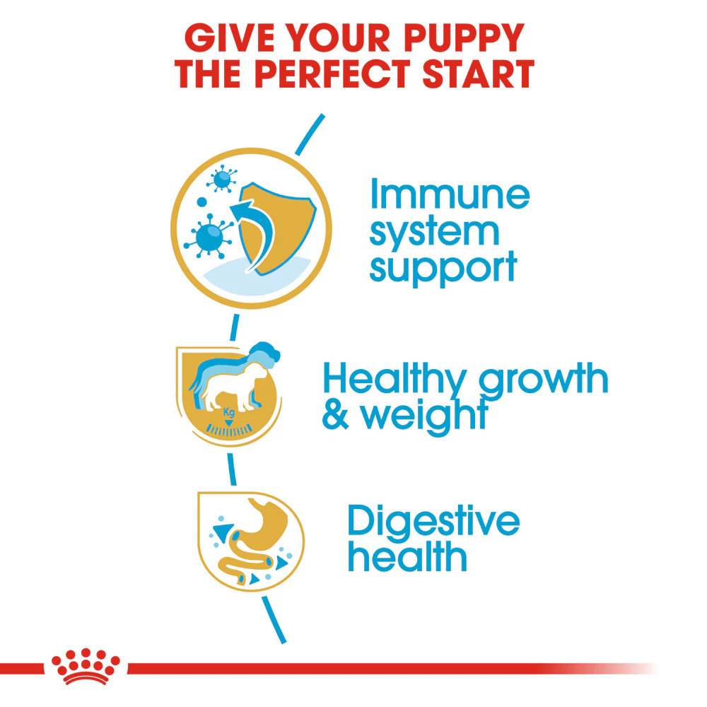 Royal Canin - Labrador Breed Puppy Dog Dry Food (12kg) - Image 4