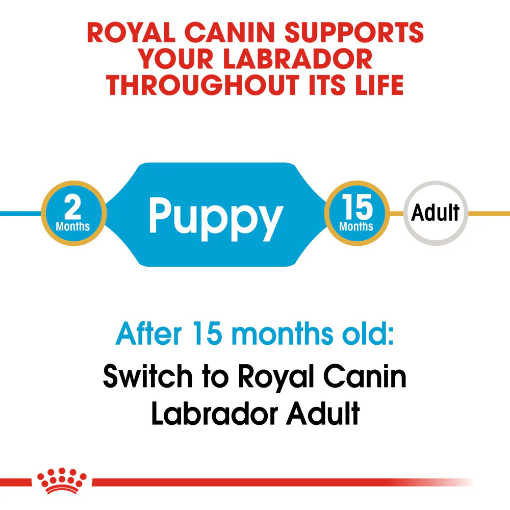 Royal Canin - Labrador Breed Puppy Dog Dry Food (12kg) - Image 5