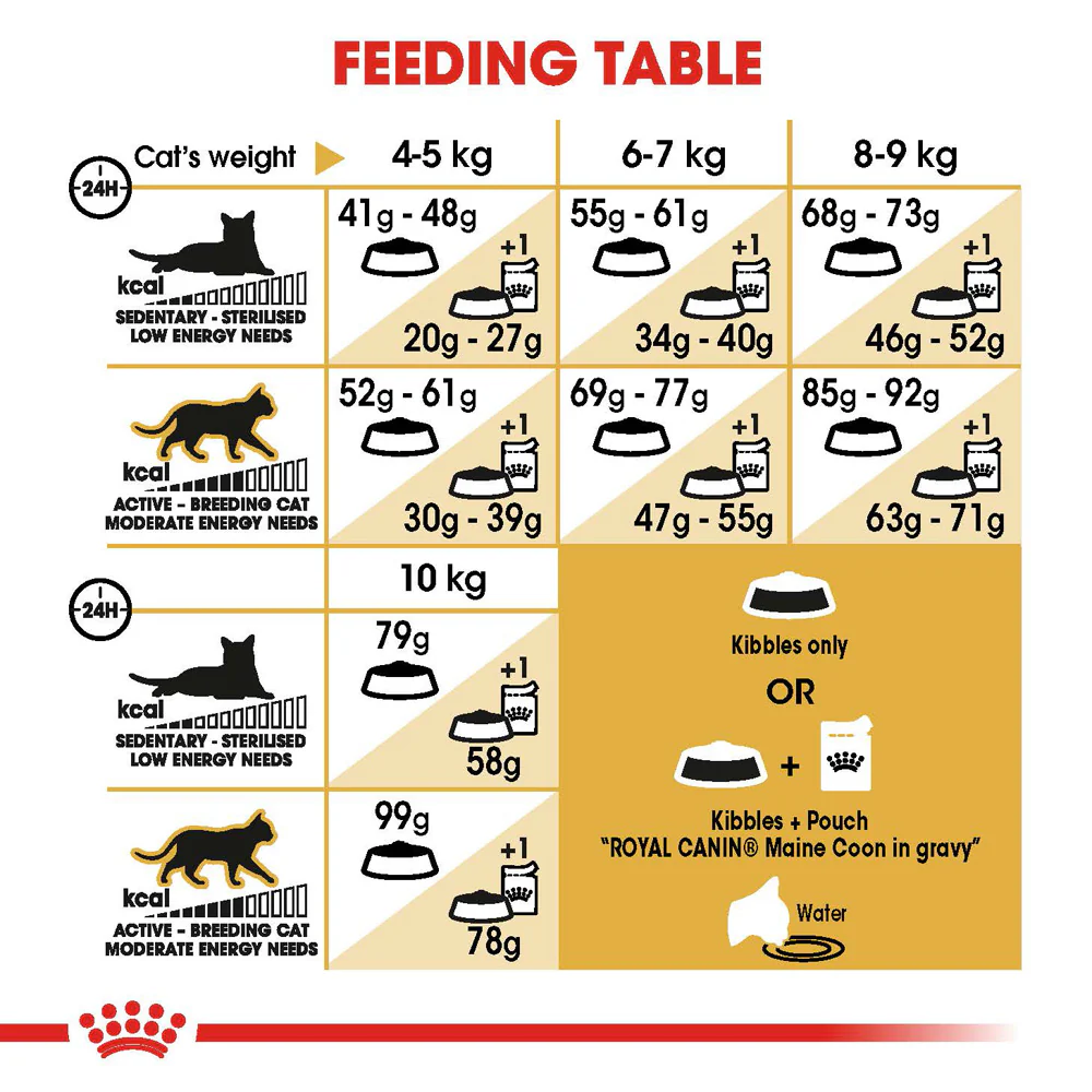 Royal Canin - Maine Coon Breed Adult Cat Dry Food (10kg) - Image 3