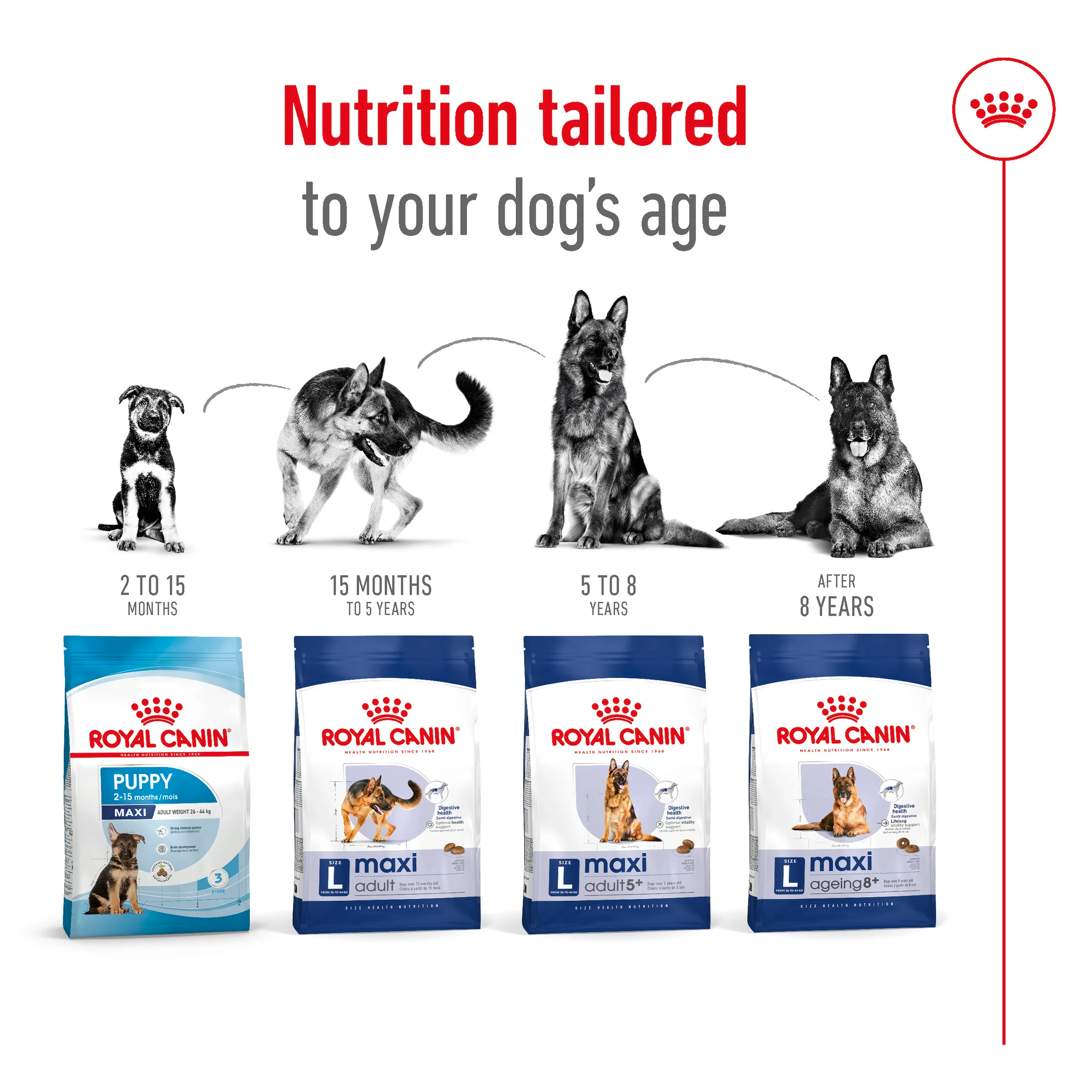 Royal Canin - Maxi Adult Dog Dry Food (15kg) - Image 4