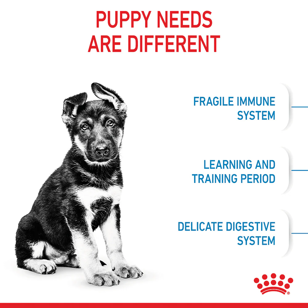 Royal Canin - Maxi Puppy Dog Dry Food (15kg) - Image 4