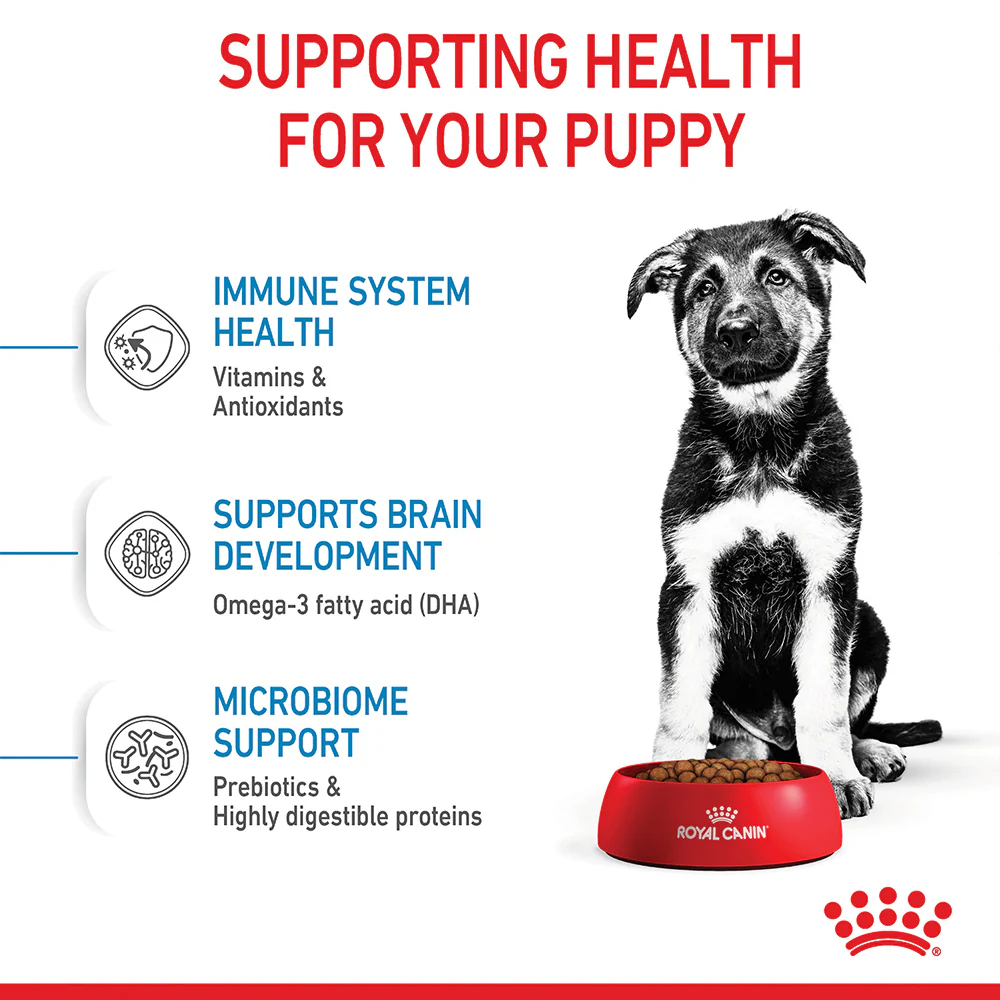 Royal Canin - Maxi Puppy Dog Dry Food (4kg) - Image 5