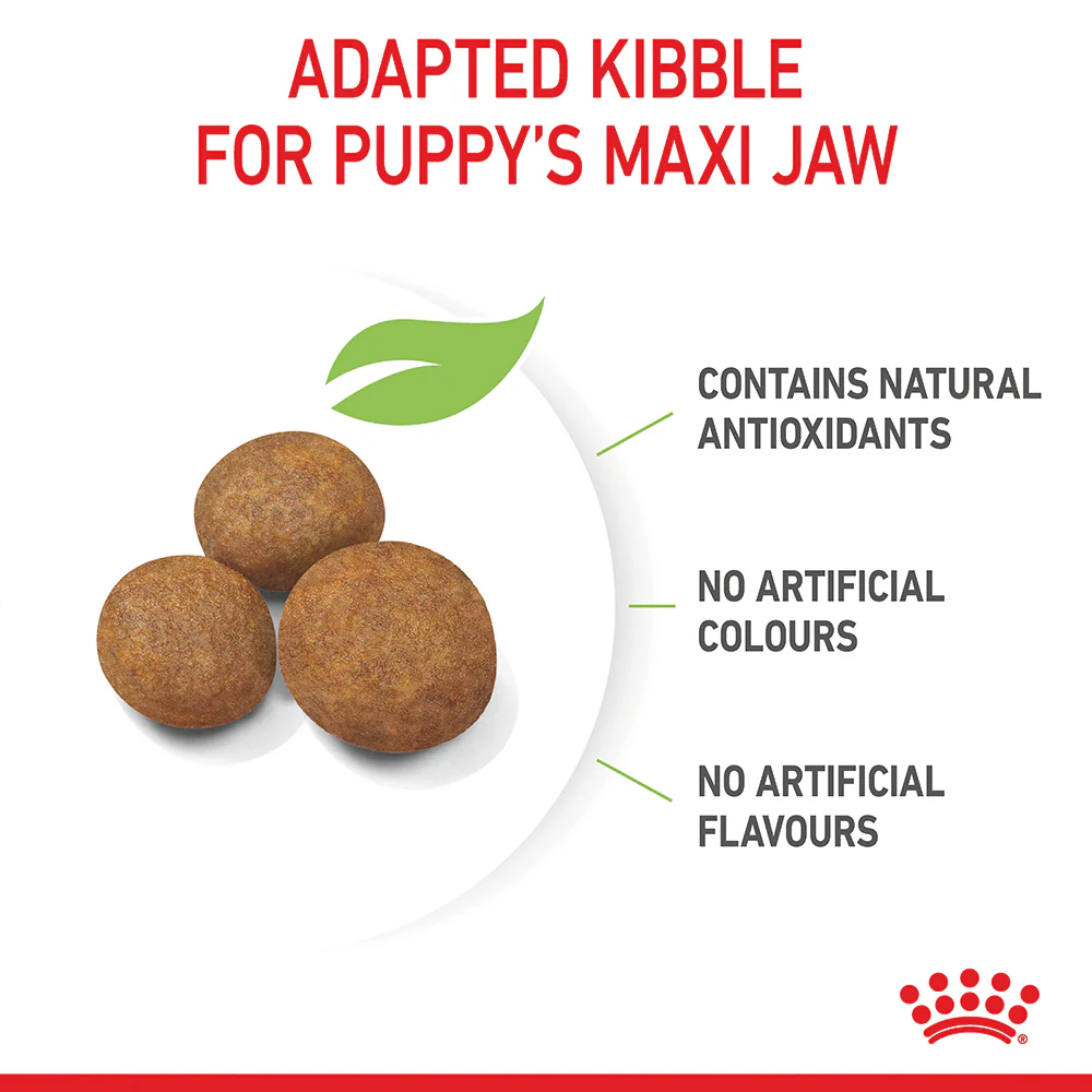 Royal Canin - Maxi Puppy Dog Dry Food (15kg) - Image 6