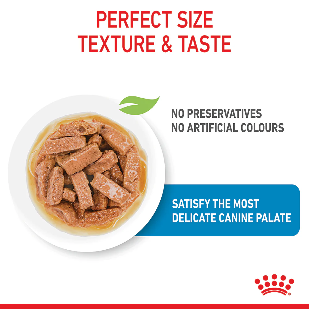 Royal Canin - Maxi Puppy Dog Wet Food (140g x 10pk) - Image 5