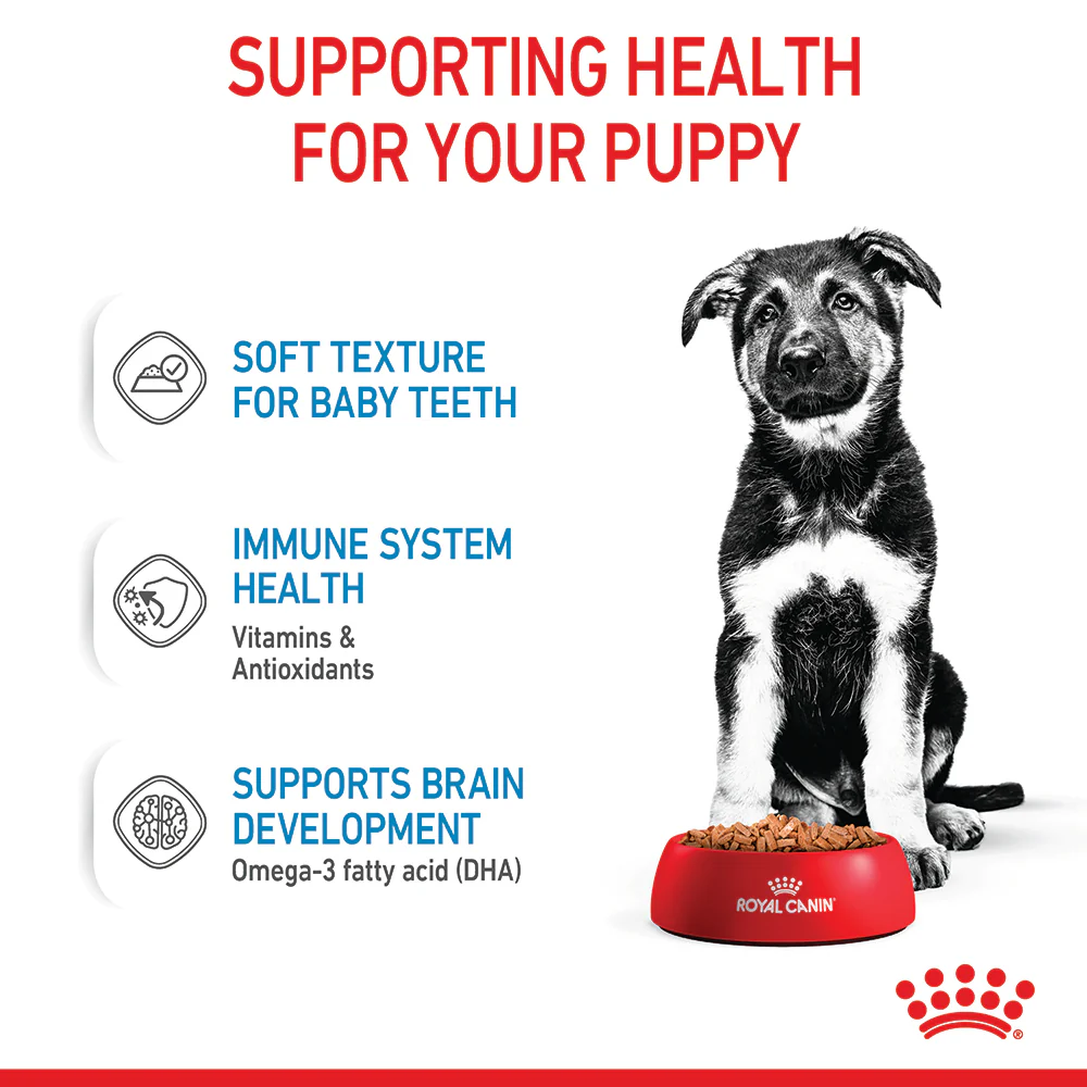 Royal Canin - Maxi Puppy Dog Wet Food (140g x 10pk) - Image 6