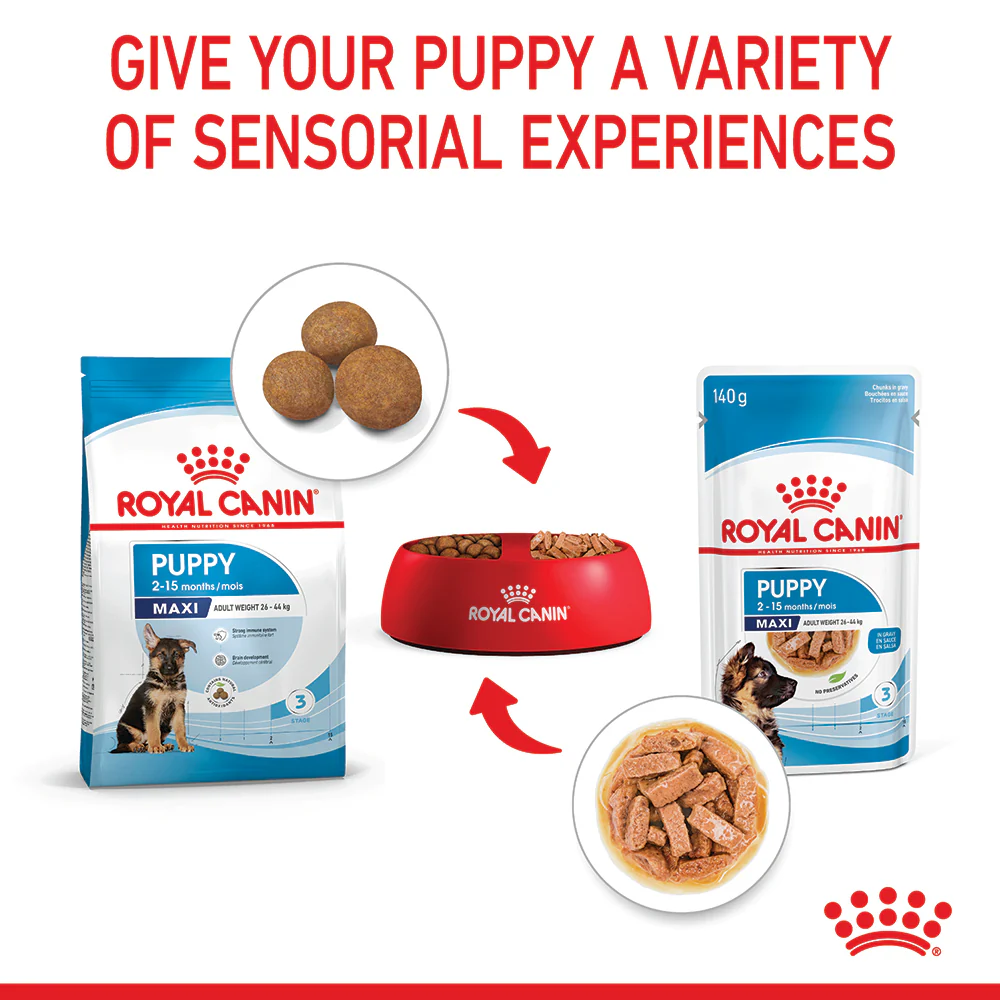 Royal Canin - Maxi Puppy Dog Wet Food (140g x 10pk) - Image 7