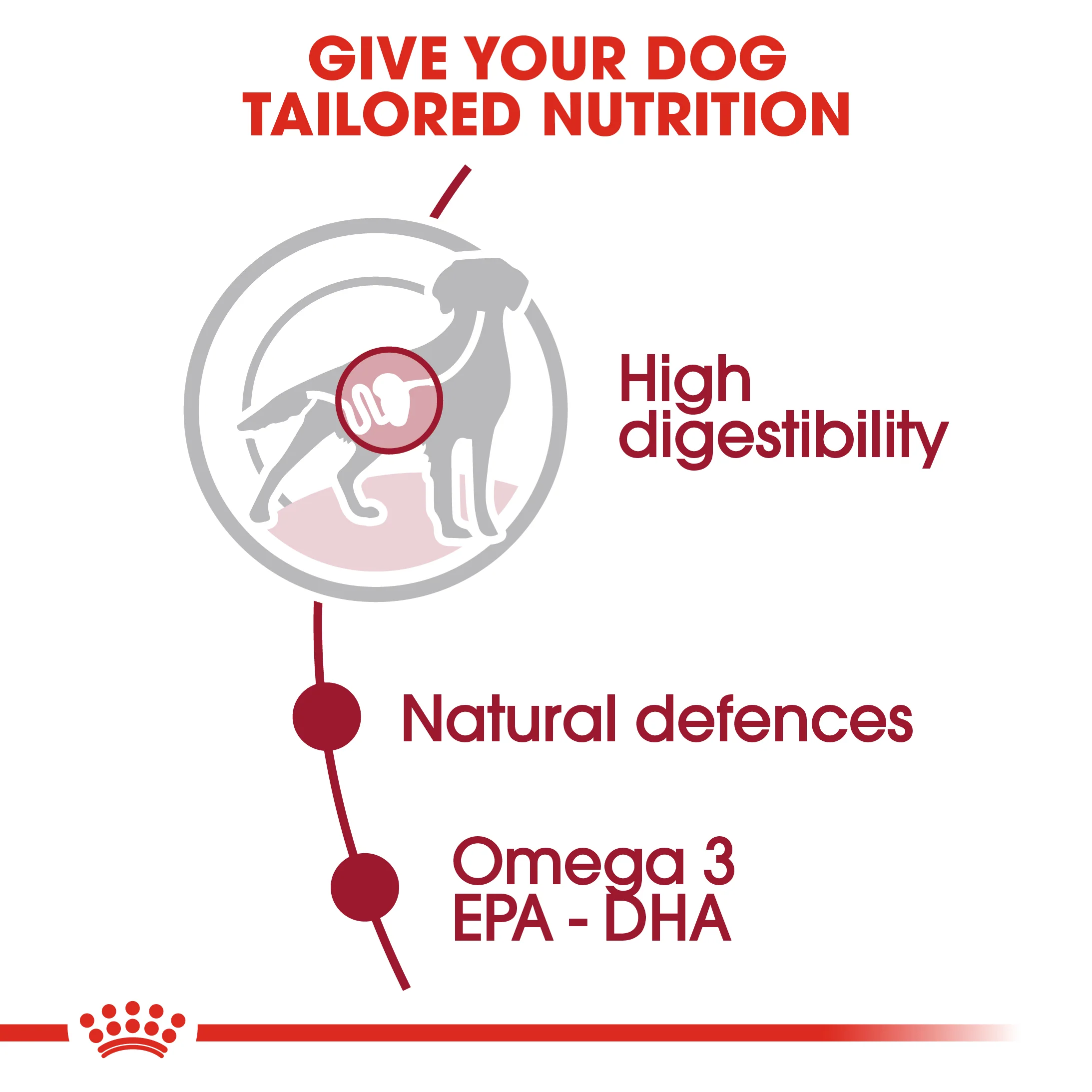 Royal Canin - Medium Adult Dog Wet Food (140g x 10pk) - Image 5