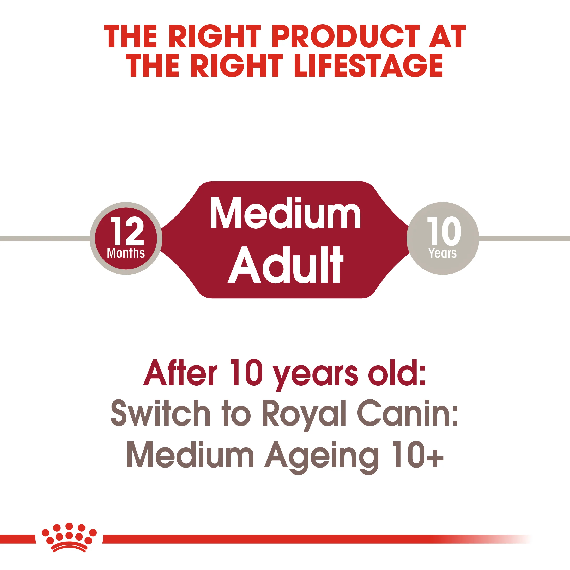 Royal Canin - Medium Adult Dog Wet Food (140g x 10pk) - Image 6