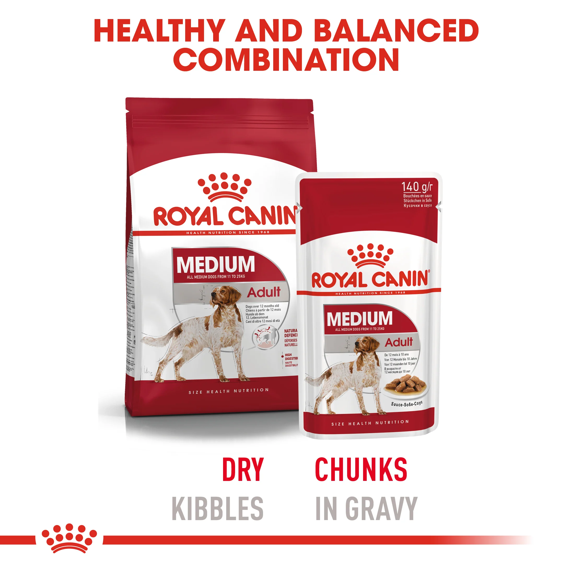 Royal Canin - Medium Adult Dog Wet Food (140g x 10pk) - Image 8