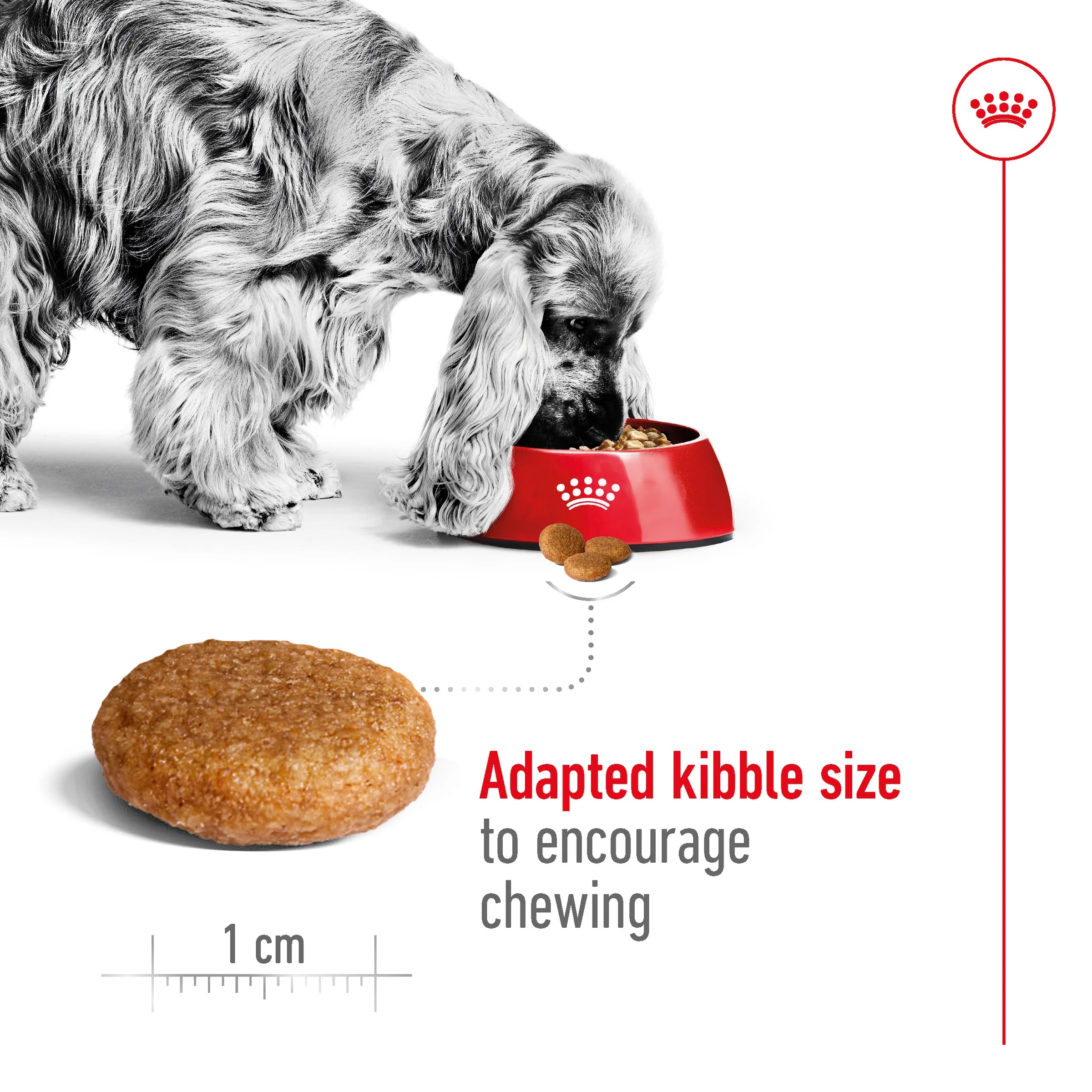 Royal Canin - Medium Adult Dog Dry Food (15kg) - Image 3