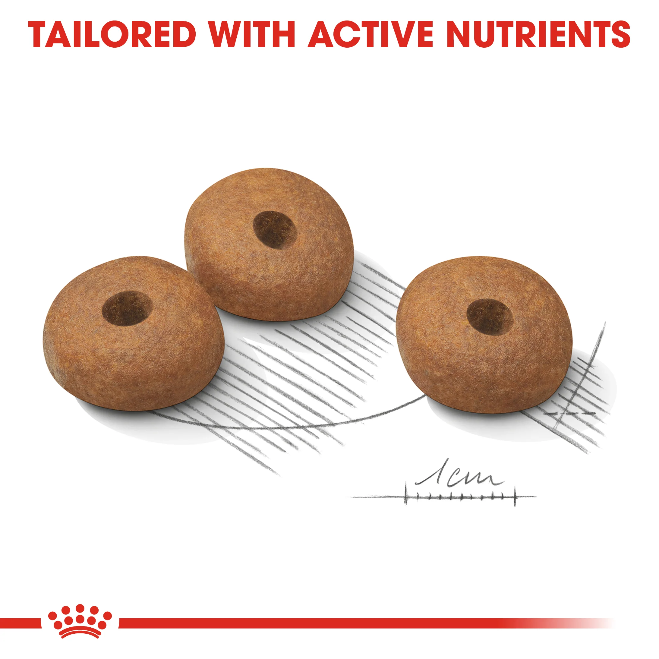 Royal Canin - Medium Adult Light Weight Care Dog Dry Food (3kg) - Image 4