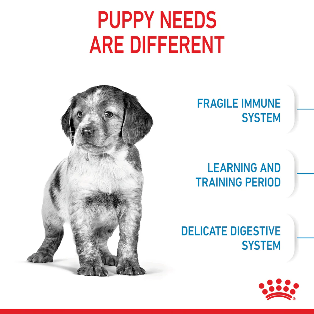 Royal Canin - Medium Puppy Dog Dry Food (15kg) - Image 4