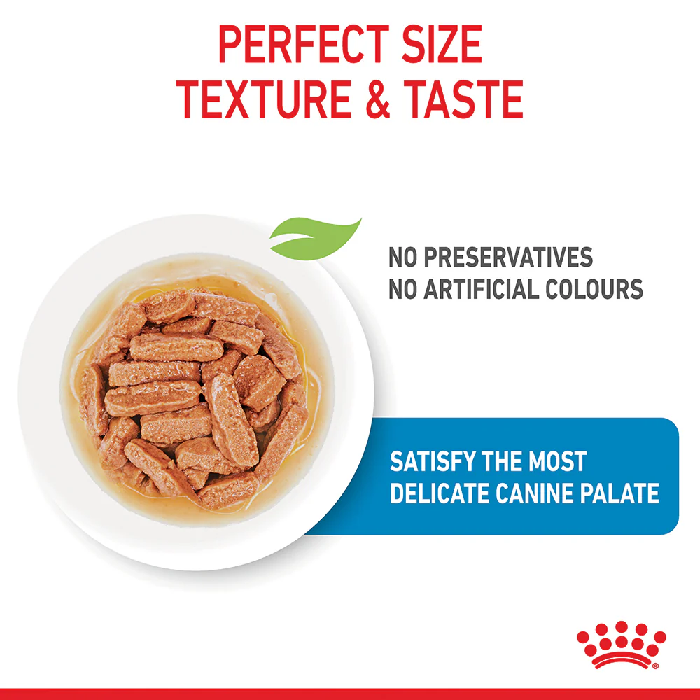 Royal Canin - Medium Puppy Dog Wet Food (140g x 10pk) - Image 5