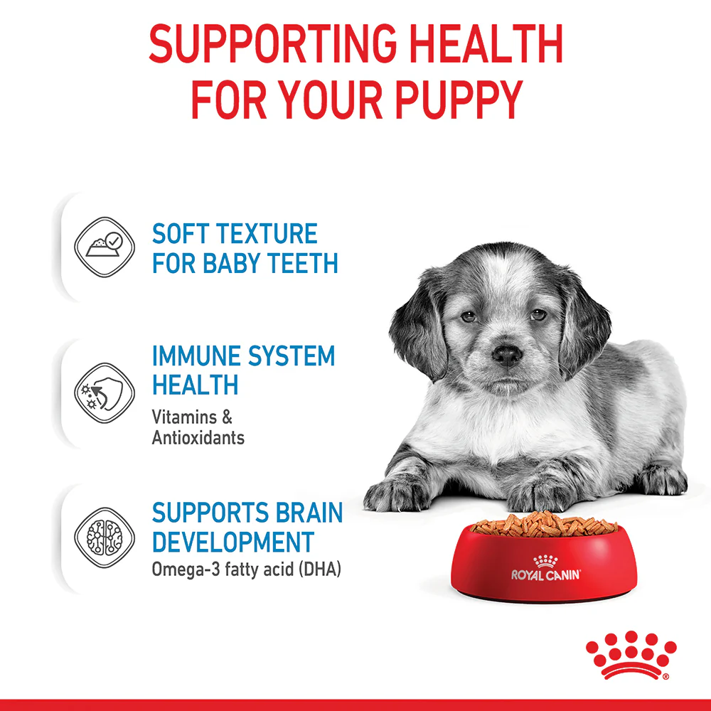 Royal Canin - Medium Puppy Dog Wet Food (140g x 10pk) - Image 6