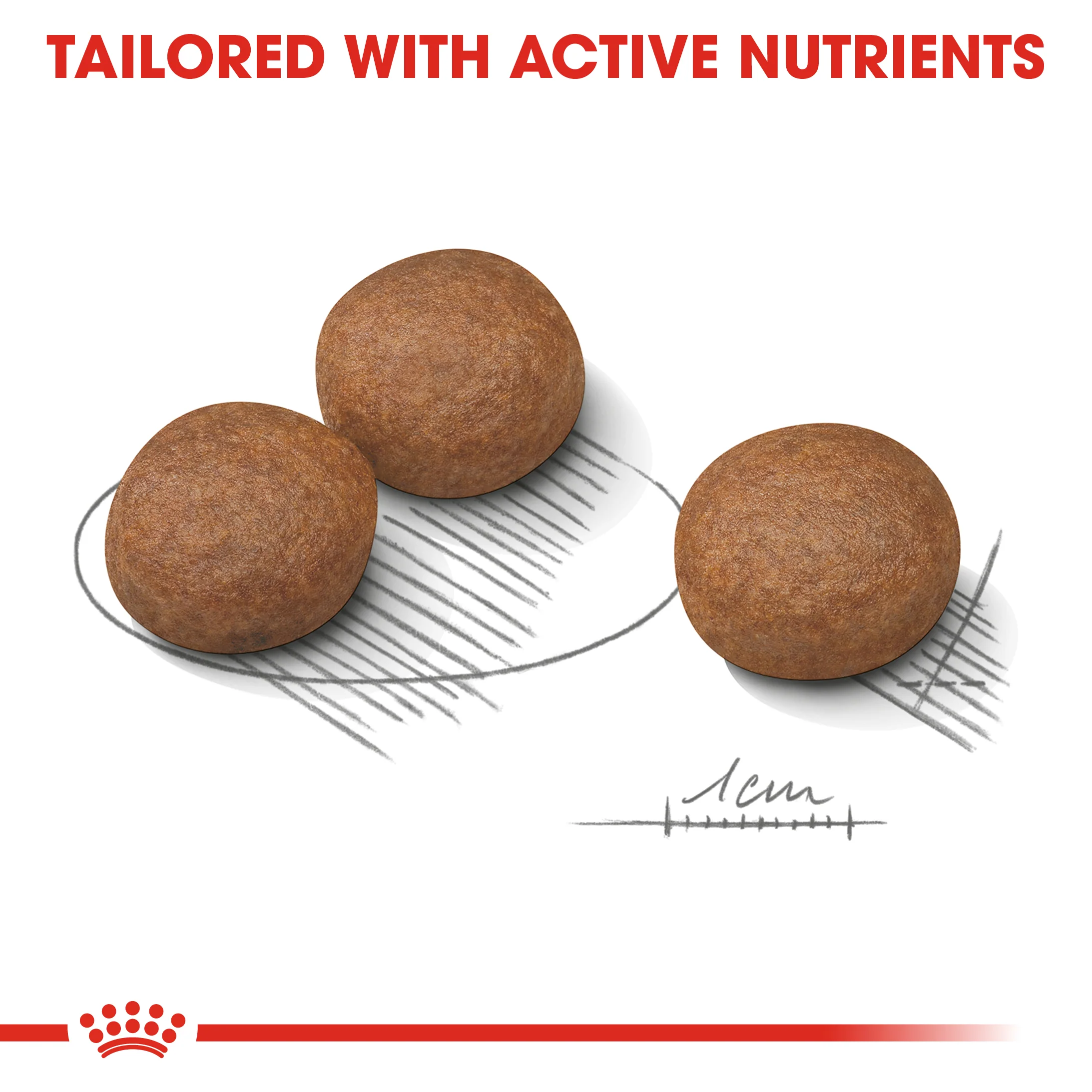 Royal Canin - Medium Adult Digestive Care Dog Dry Food (3kg) - Image 3