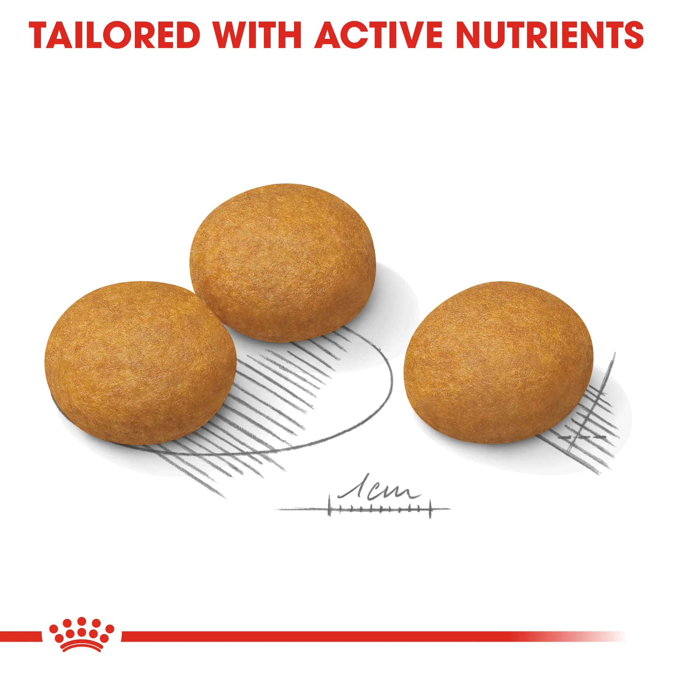 Royal Canin - Mini Adult Dermacomfort Dog Dry Food (3kg) - Image 3