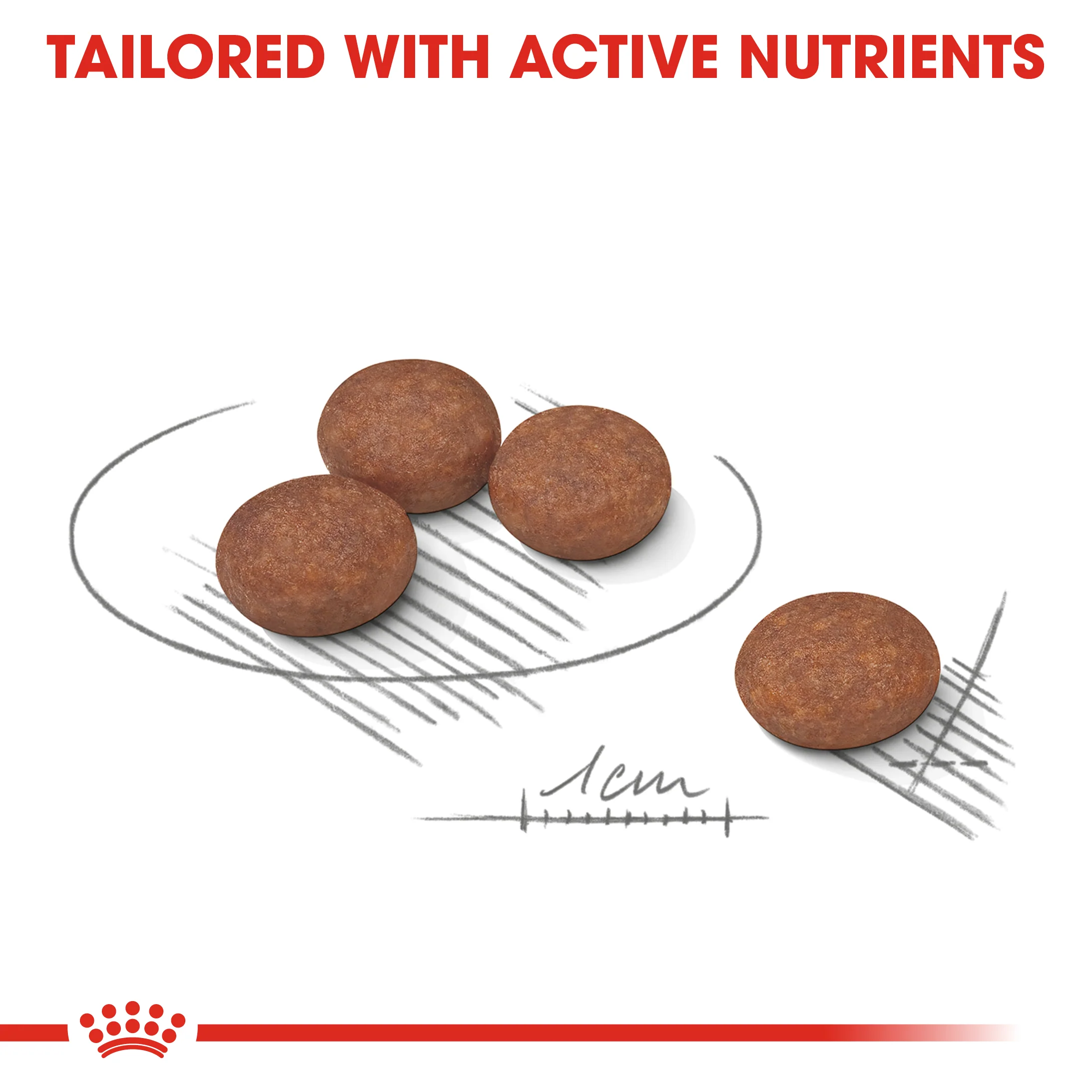 Royal Canin - Mini Adult Digestive Care Dog Dry Food (3kg) - Image 3