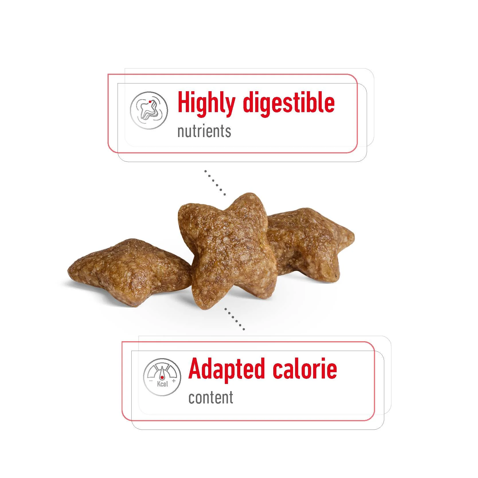 Royal Canin - Mini Adult Dog Dry Food (4kg) - Image 4