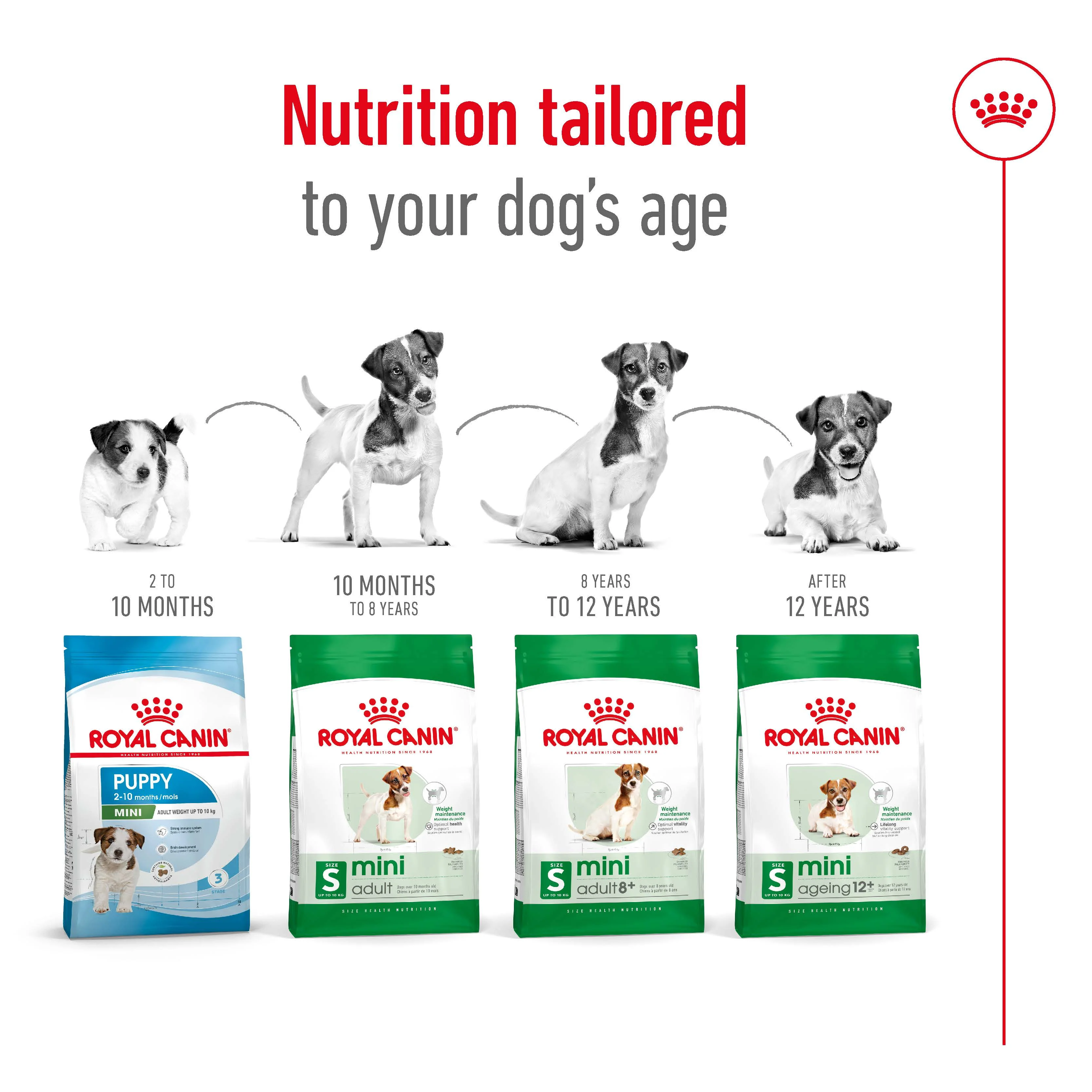 Royal Canin - Mini Adult Dog Dry Food (4kg) - Image 6