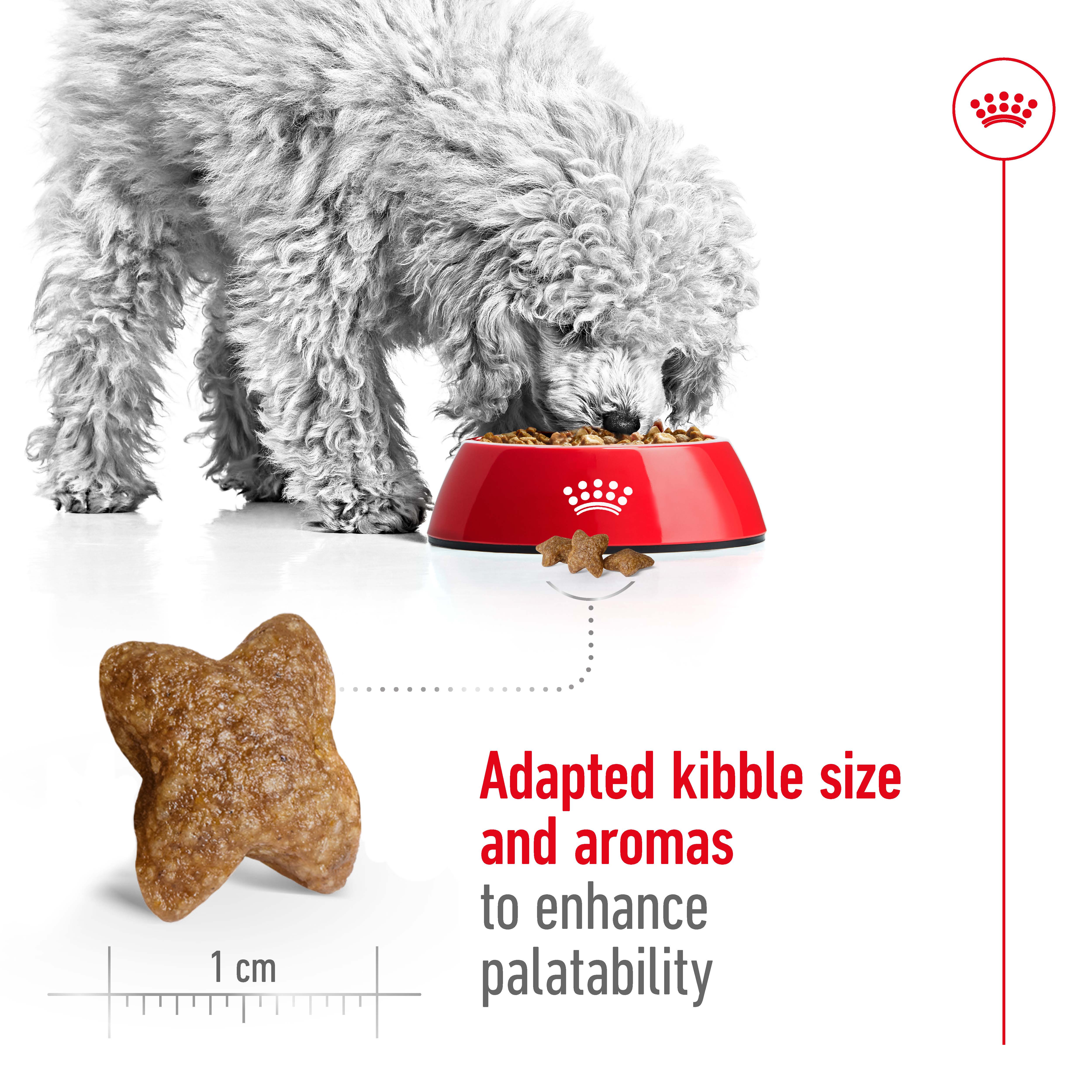 Royal Canin - Mini Adult Dog Dry Food (2kg) - Image 3