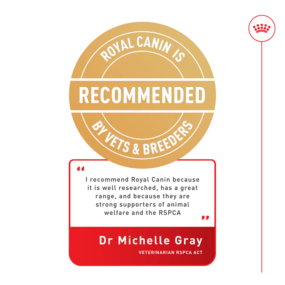 Royal Canin - Mini 12+ Ageing Dog Dry Food (1.5kg) - Image 2