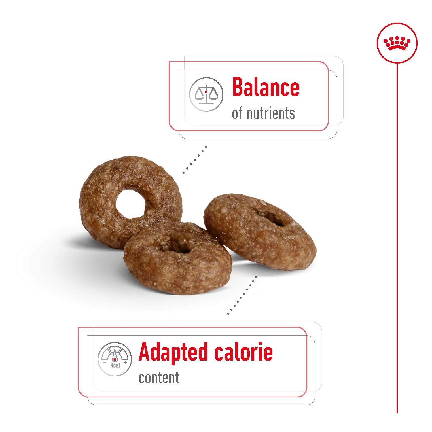 Royal Canin - Mini 12+ Ageing Dog Dry Food (1.5kg) - Image 4