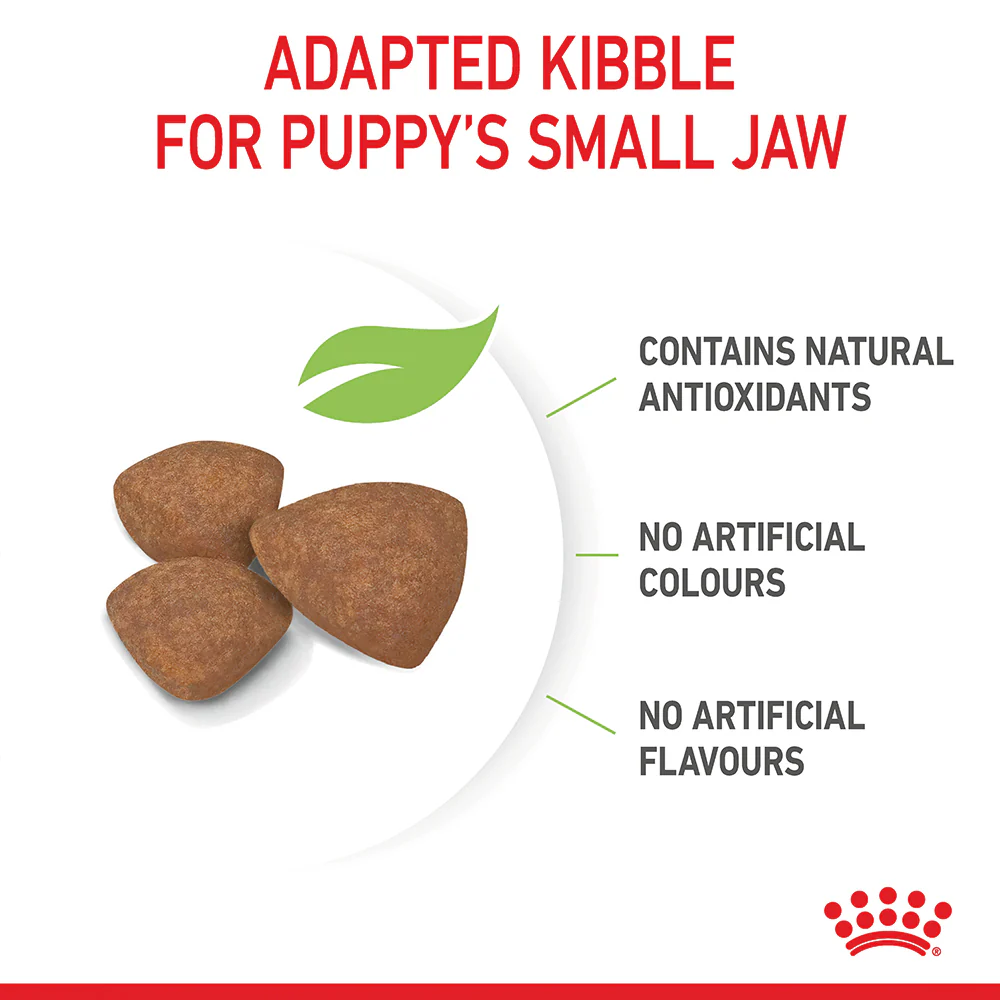 Royal Canin - Mini Puppy Dog Dry Food (2kg) - Image 6