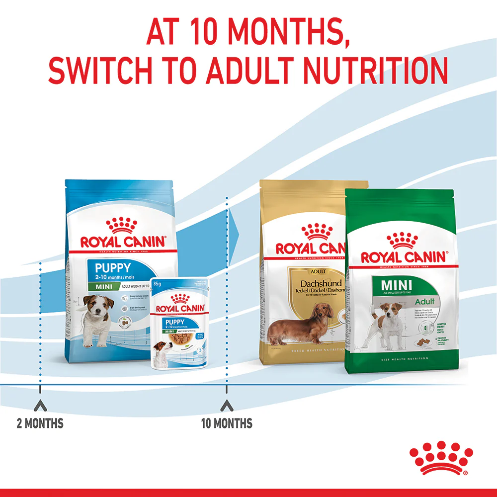Royal Canin - Mini Puppy Dog Dry Food (2kg) - Image 7