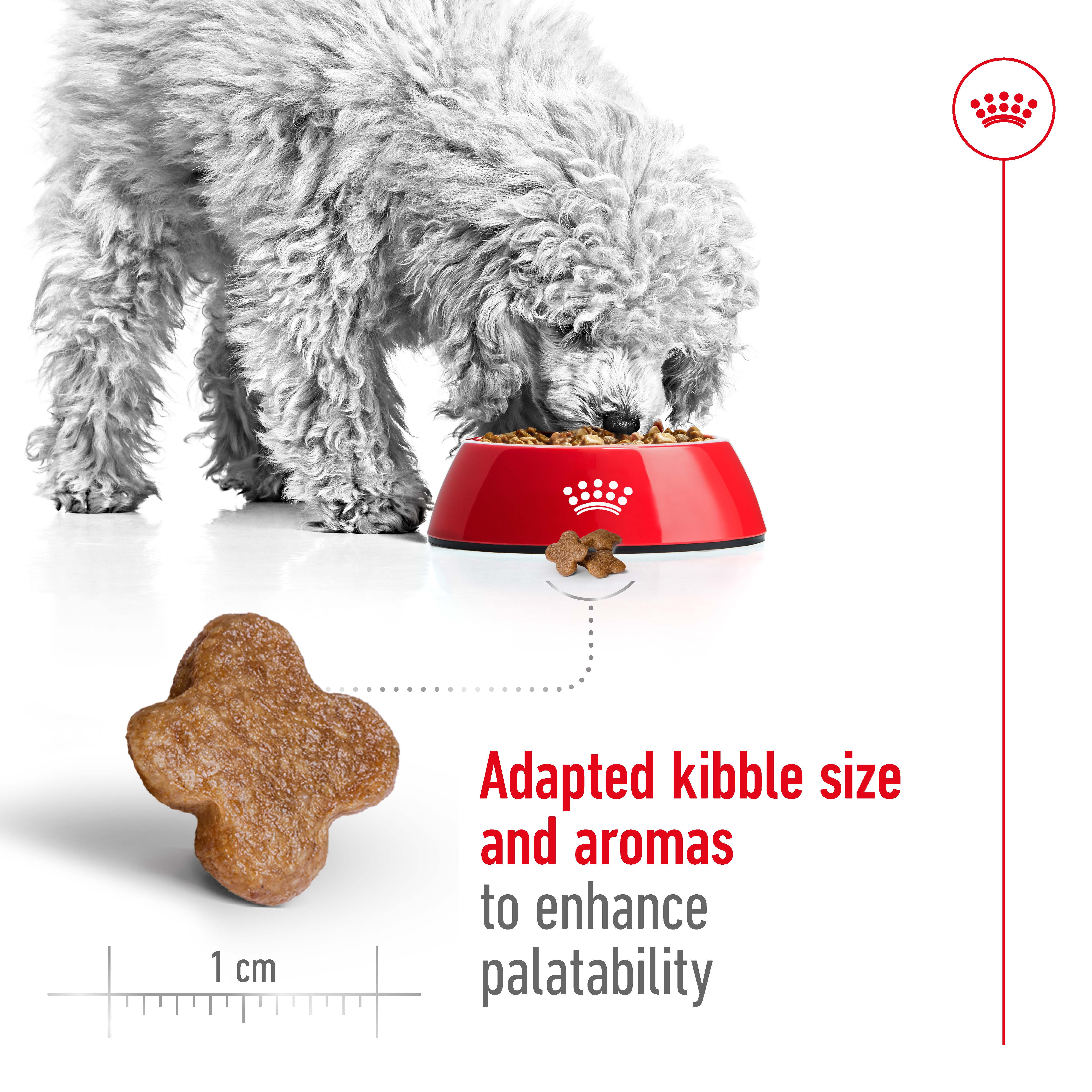 Royal Canin - Mini 8+ Mature Dog Dry Food (2kg) - Image 3