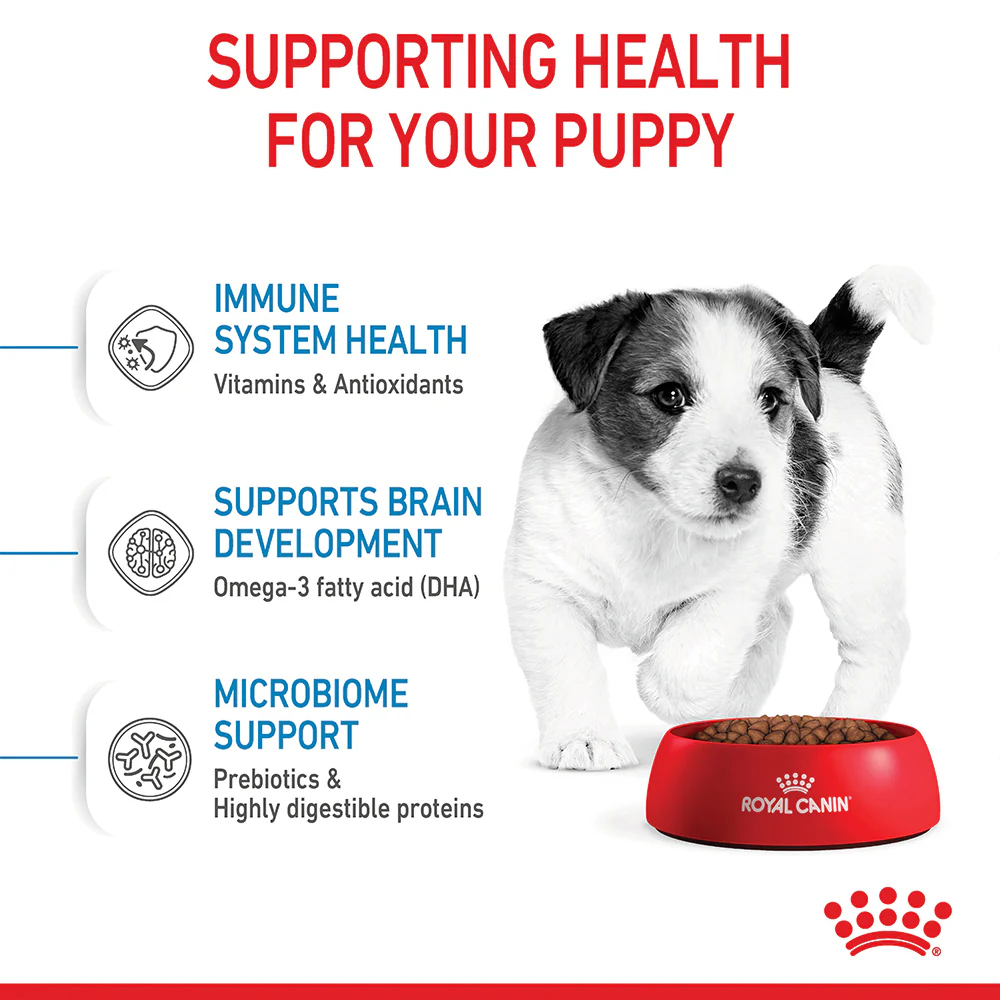 Royal Canin - Mini Puppy Dog Dry Food (4kg) - Image 5