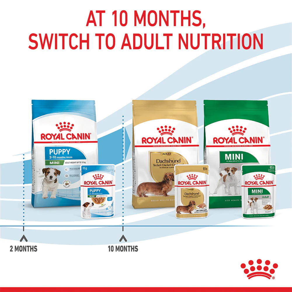 Royal Canin - Mini Puppy Dog Wet Food (85g x 12pk) - Image 10
