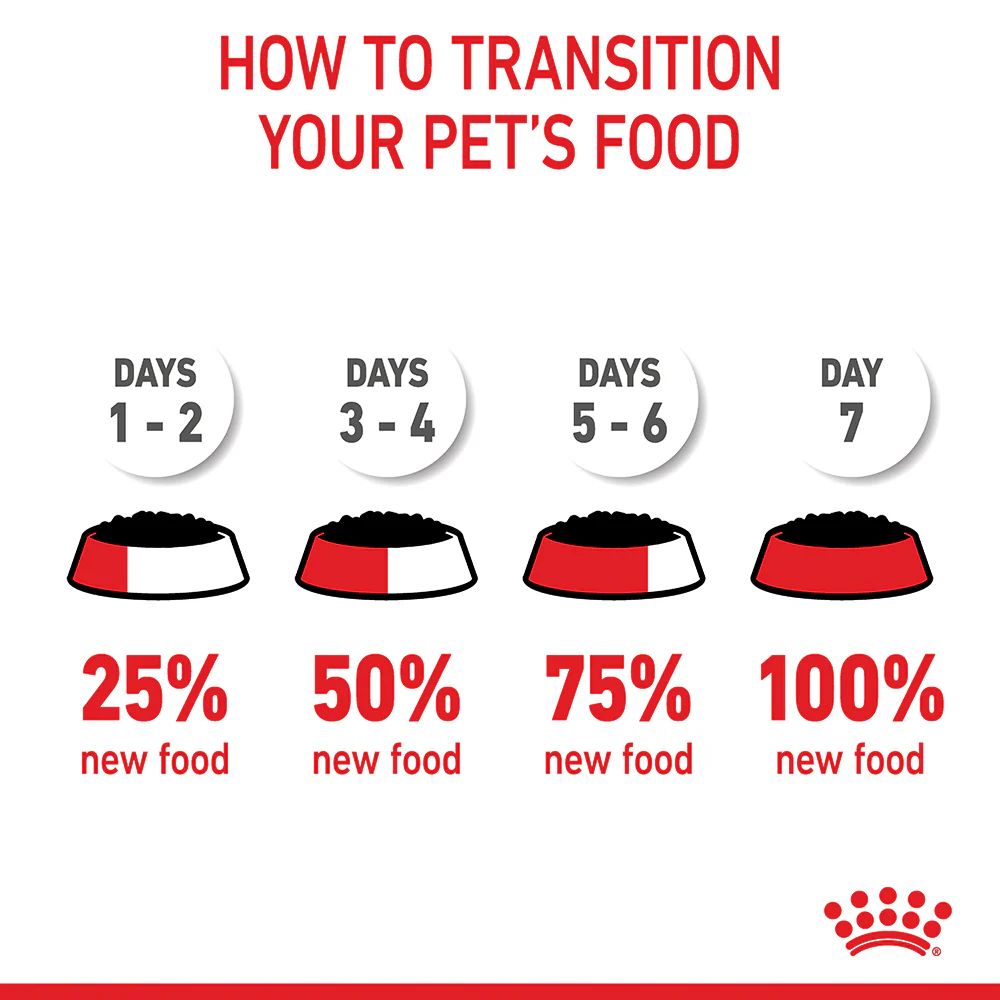 Royal Canin - Mini Puppy Dog Wet Food (85g x 12pk) - Image 11