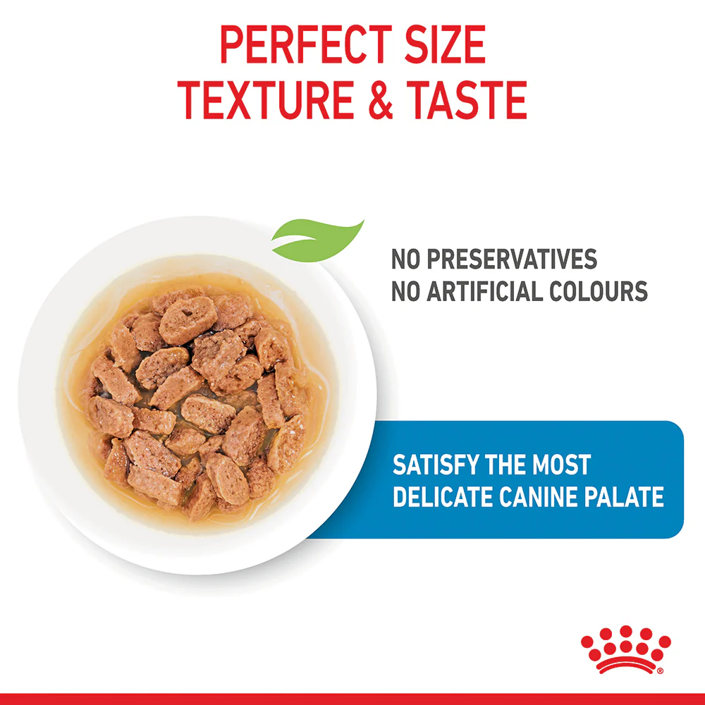 Royal Canin - Mini Puppy Dog Wet Food (85g x 12pk) - Image 5