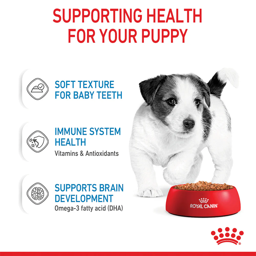 Royal Canin - Mini Puppy Dog Wet Food (85g x 12pk) - Image 6