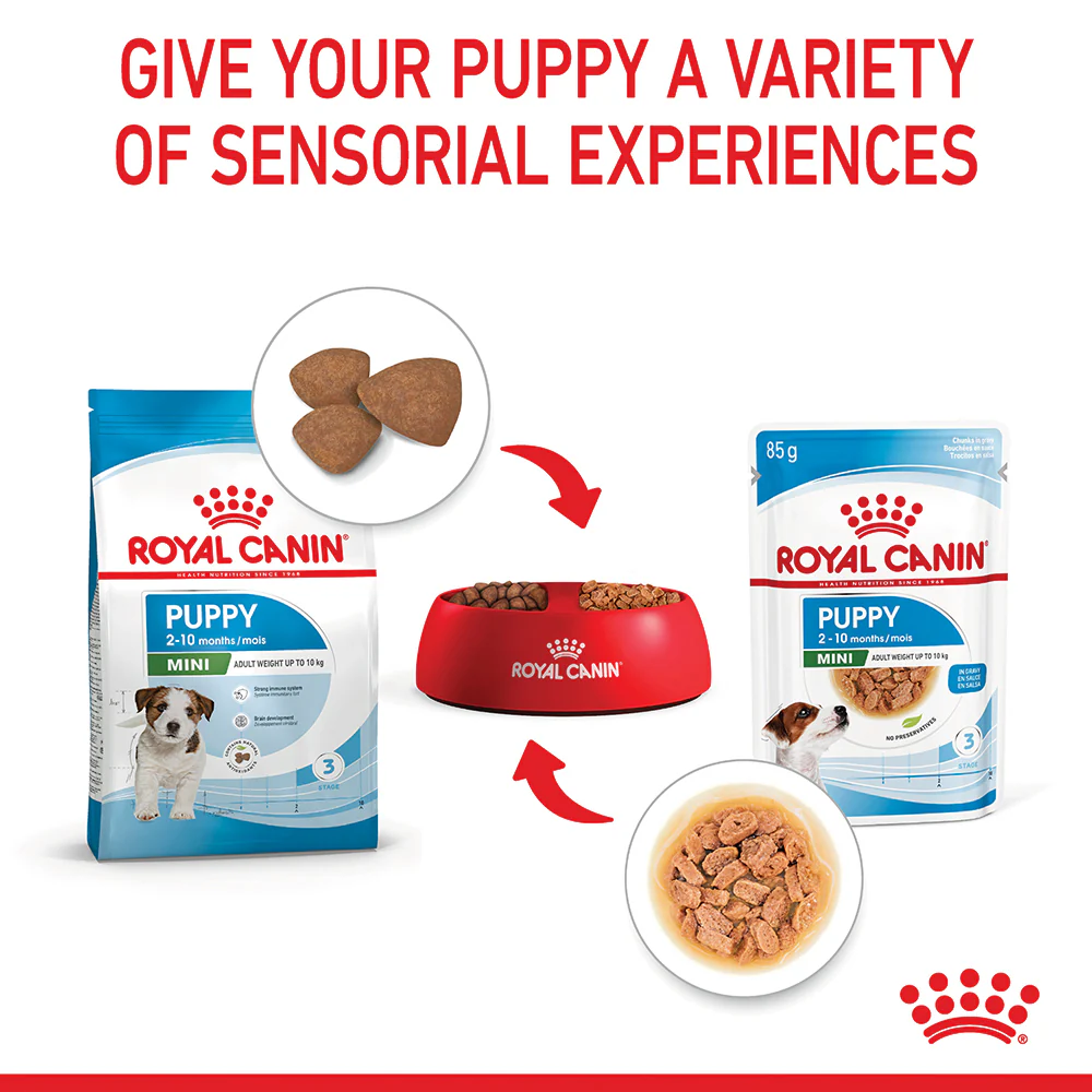 Royal Canin - Mini Puppy Dog Wet Food (85g x 12pk) - Image 7