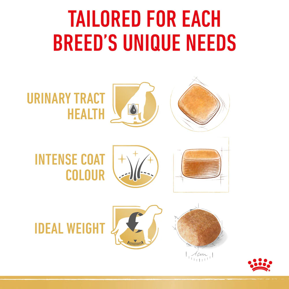 Royal Canin - Miniature Schnauzer Breed Adult Dog Dry Food (3kg) - Image 5