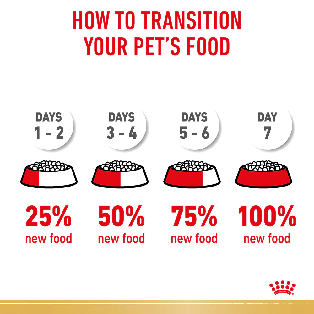 Royal Canin - Miniature Schnauzer Breed Adult Dog Dry Food (3kg) - Image 6