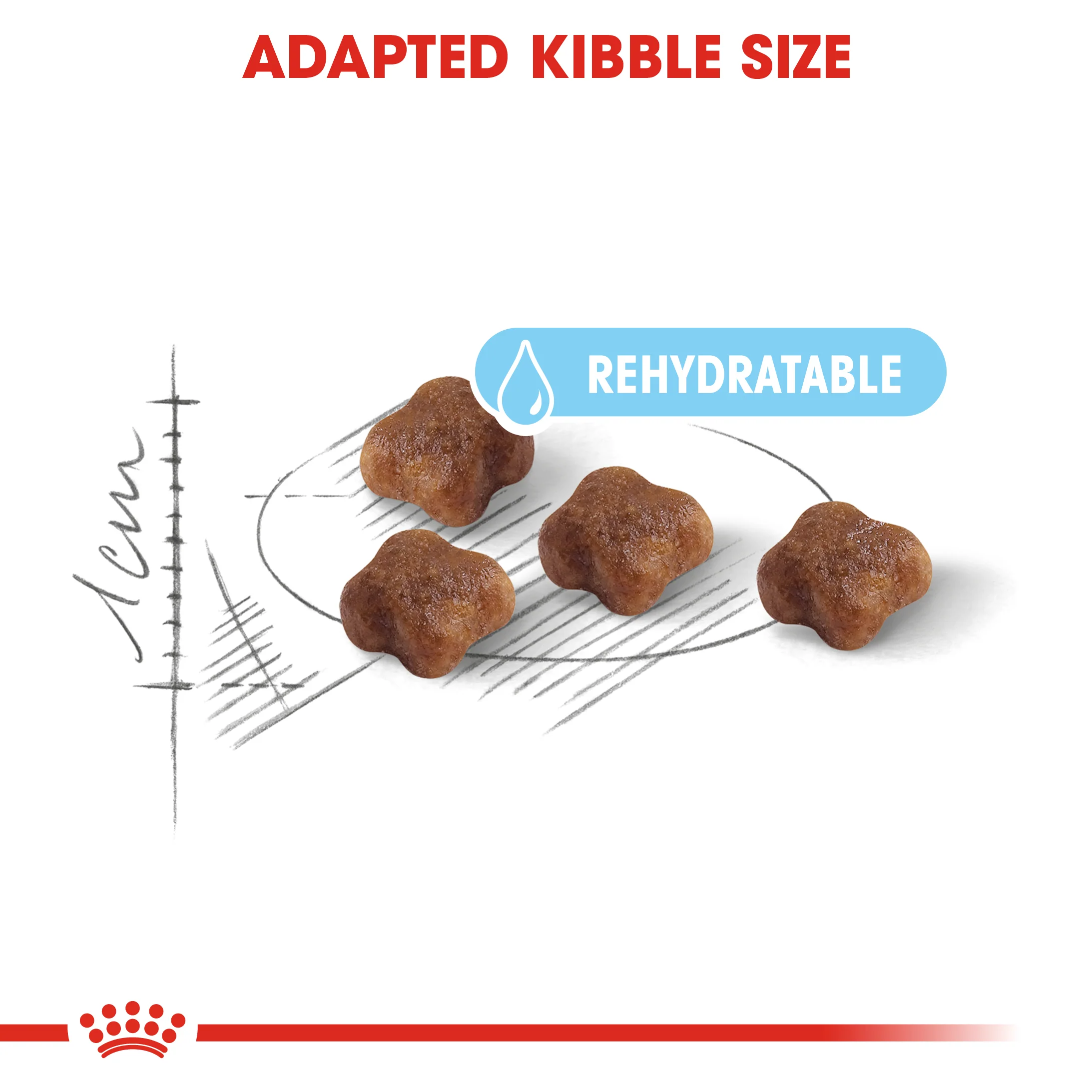 Royal Canin - Mother & Babycat Dry Food (10kg) - Image 3