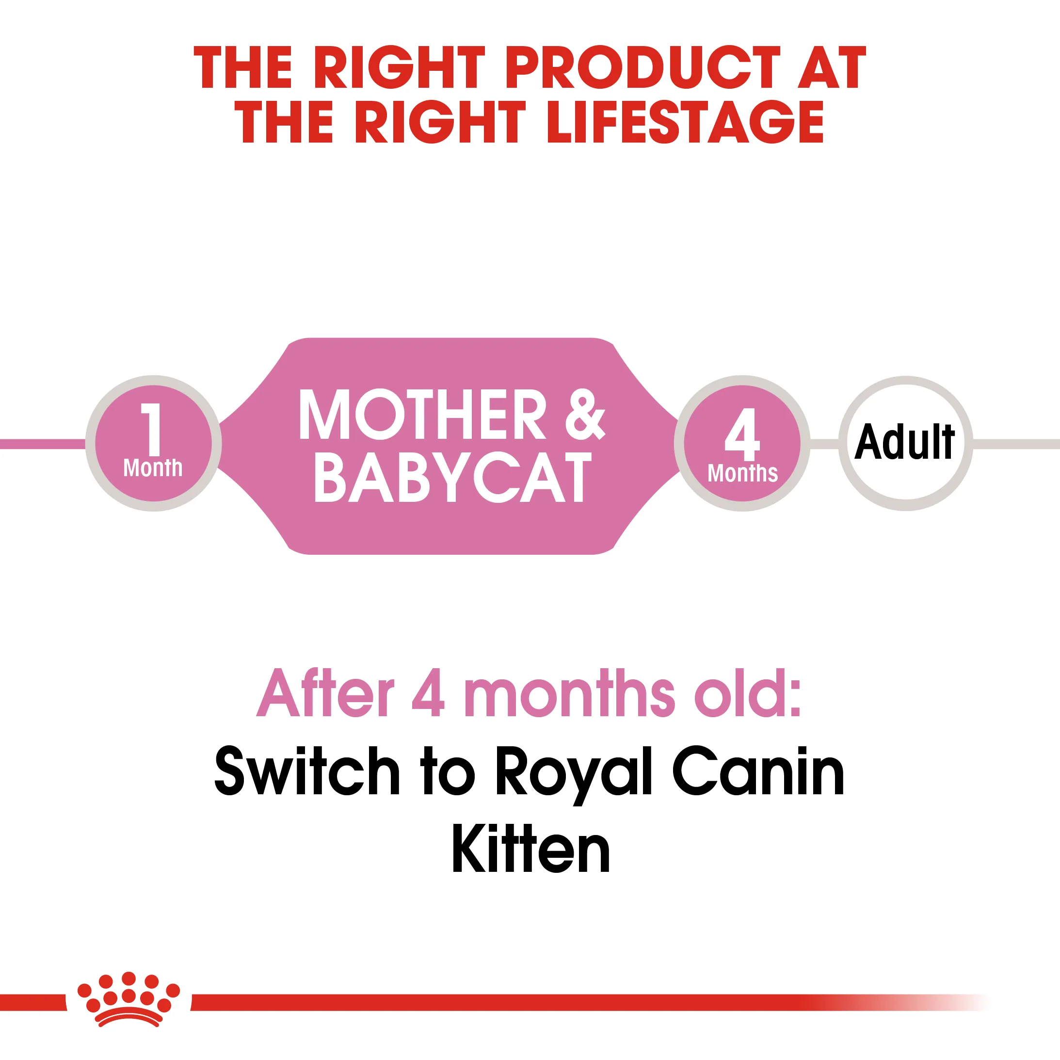 Royal Canin - Mother & Babycat Dry Food (4kg) - Image 5