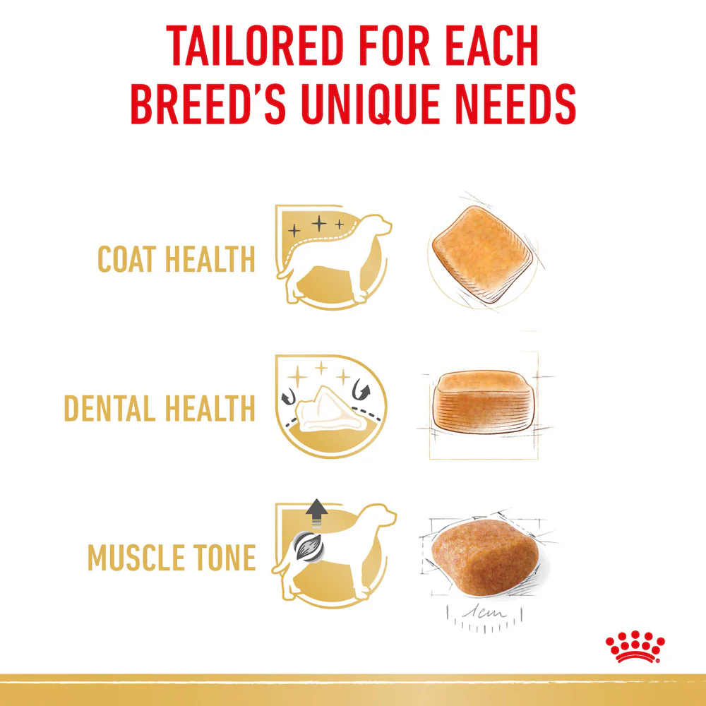 Royal Canin - Poodle Breed Adult Dog Dry Food (1.5kg) - Image 4