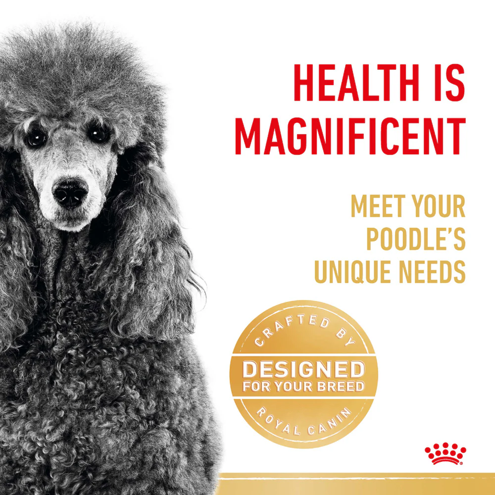 Royal Canin - Poodle Breed Adult Dog Dry Food (1.5kg) - Image 5